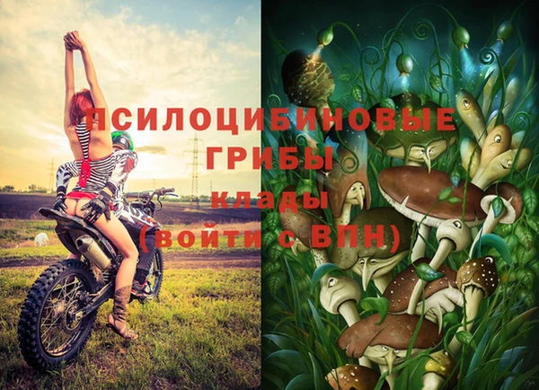 амф Беломорск