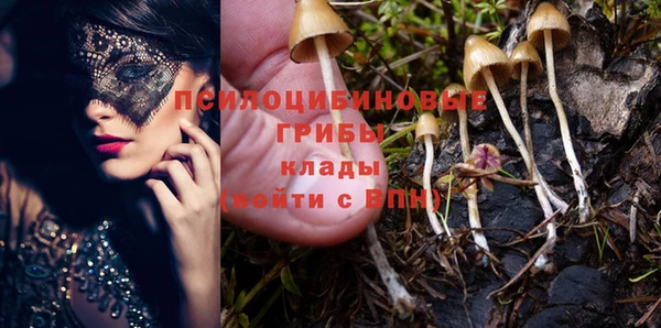 амф Беломорск
